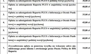 BIK: Jak sprawdzić historię, zrozumieć scoring i dostać kredyt?