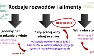 Zarobki a alimenty: Kiedy Twój dochód ma znaczenie?