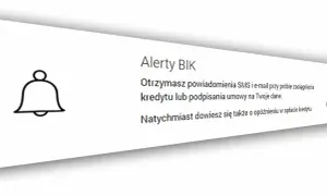 Oszuści wyłudzają pożyczki: Jak się chronić? Poradnik BIK.