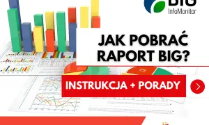 Jak sprawdzić siebie i firmę w KRD/BIG? Pełny poradnik