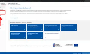 Jak sprawdzić upadłość osoby fizycznej? KRZ za darmo i online