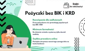 Pożyczki bez BIK i KRD? Warunki, ryzyka i legalne alternatywy