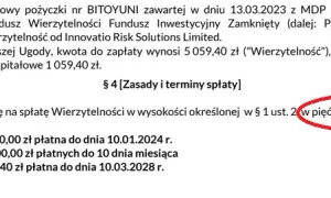 AvaFin (Lendon) a BIK: Czy dostaniesz pożyczkę z złą historią?