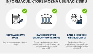 Jak wyczyścić BIK? Obalamy mity i dajemy praktyczne metody