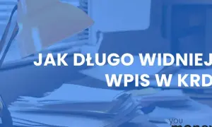 Kiedy wpis w KRD znika? Poznaj terminy i odzyskaj czystą historię.