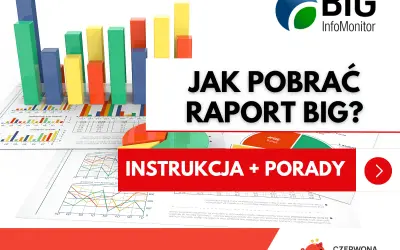 Jak sprawdzić siebie i firmę w KRD/BIG? Pełny poradnik