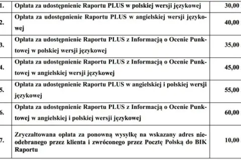 BIK: Jak sprawdzić historię, zrozumieć scoring i dostać kredyt?