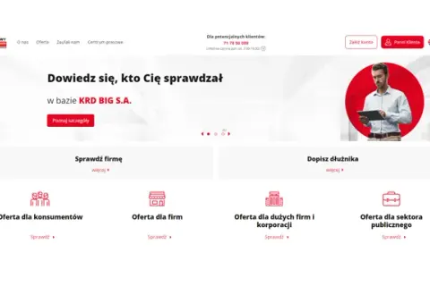 Kto sprawdza KRD? Poznaj, kto ma dostęp do Twoich długów