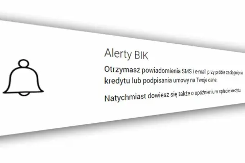 Oszuści wyłudzają pożyczki: Jak się chronić? Poradnik BIK.