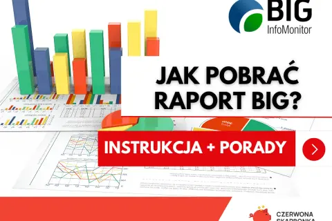 Jak sprawdzić siebie i firmę w KRD/BIG? Pełny poradnik