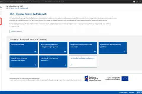 Jak sprawdzić upadłość osoby fizycznej? KRZ za darmo i online