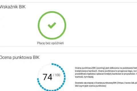 Zielony znacznik z napisem "Płacę bez opóźnień" i wskaźnik punktowy BIK 74/100.