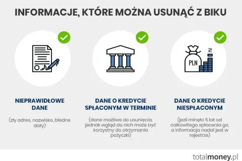 Jak wyczyścić BIK? Obalamy mity i dajemy praktyczne metody