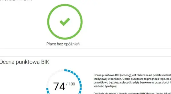 Zielony znacznik z napisem "Płacę bez opóźnień" i wskaźnik punktowy BIK 74/100.