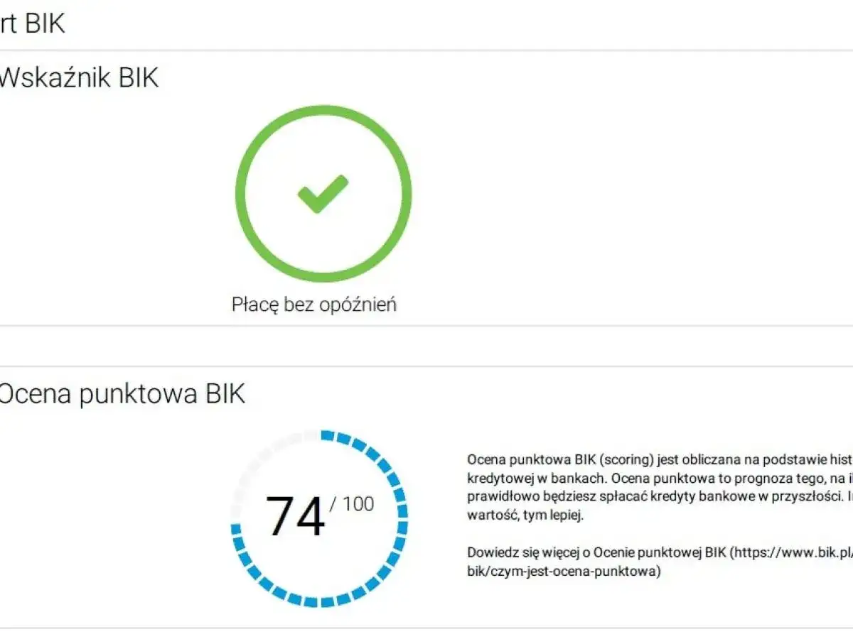 Zielony znacznik z napisem "Płacę bez opóźnień" i wskaźnik punktowy BIK 74/100.