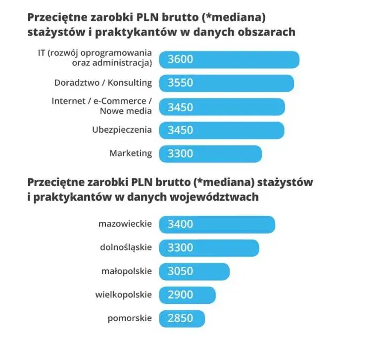 Zarobki stażystów w IT finansach marketingu