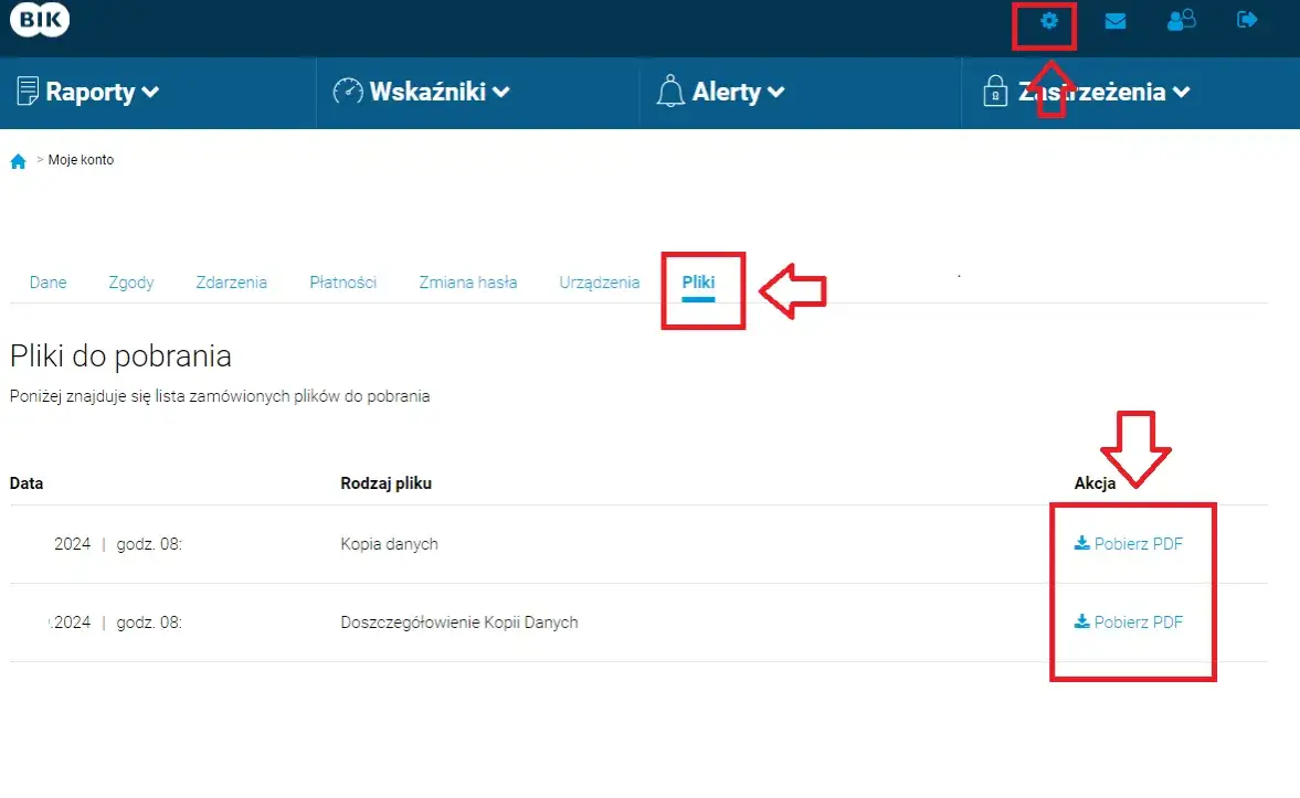 BIK portal rejestracja darmowa kopia danych
